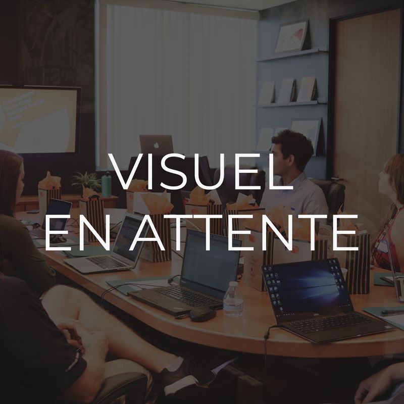 texte alternatif a remplacer